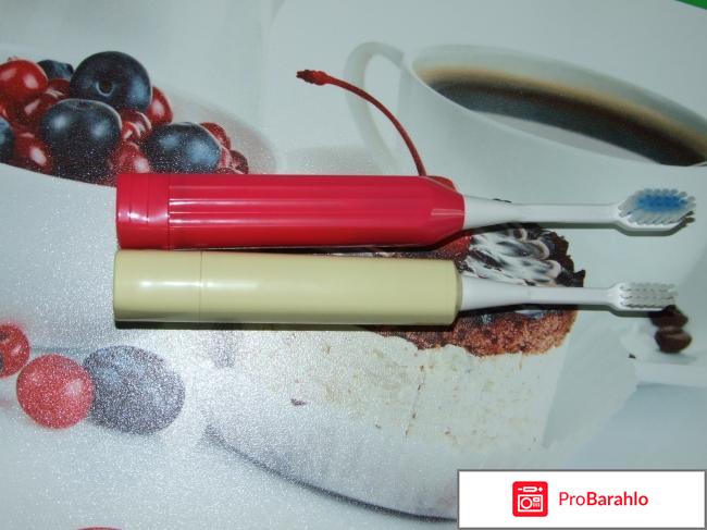 Японская электрическая щетка Hapica 