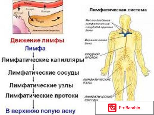 Очищение солодкой и энтеросгелем отзывы врачей обман