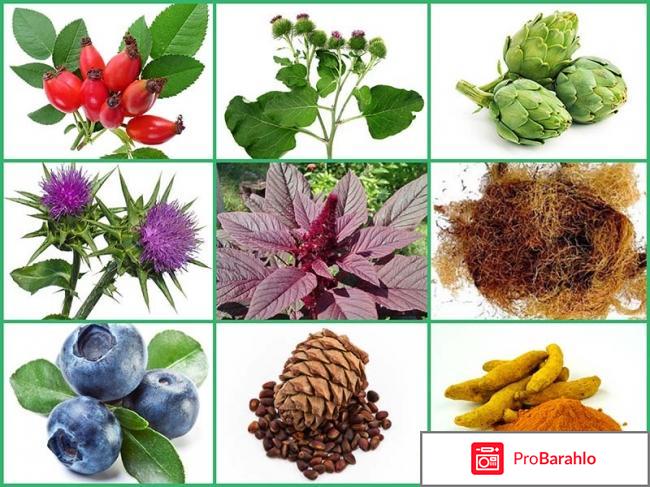 DiabeNot купить по низкой цене обман