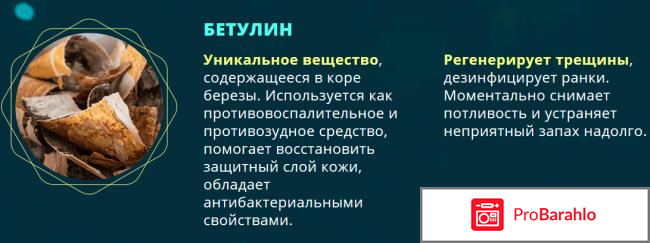 Сангридок спрей от грибка - развод или нет? фото