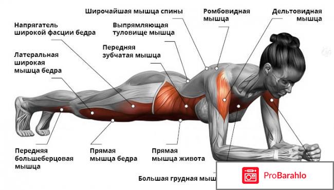 Планка для похудения живота отзывы 