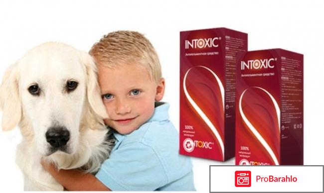 Intoxic о препарате 