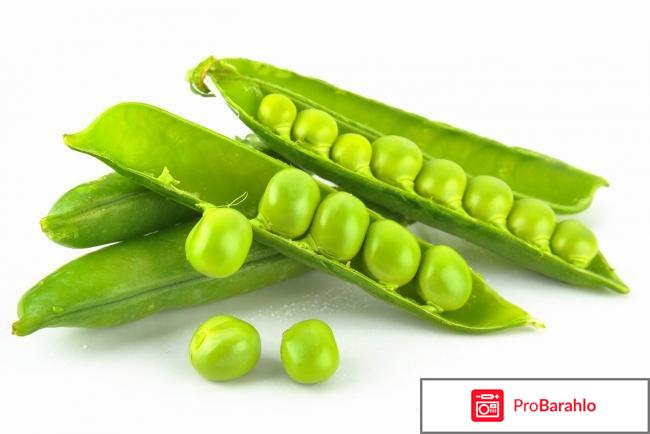Зеленый горошек: польза для похудения отрицательные отзывы