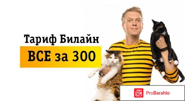 Тариф все за 300 билайн 