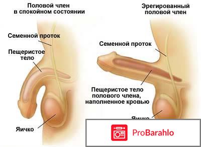 ЯрсаГумба реальные отзывы