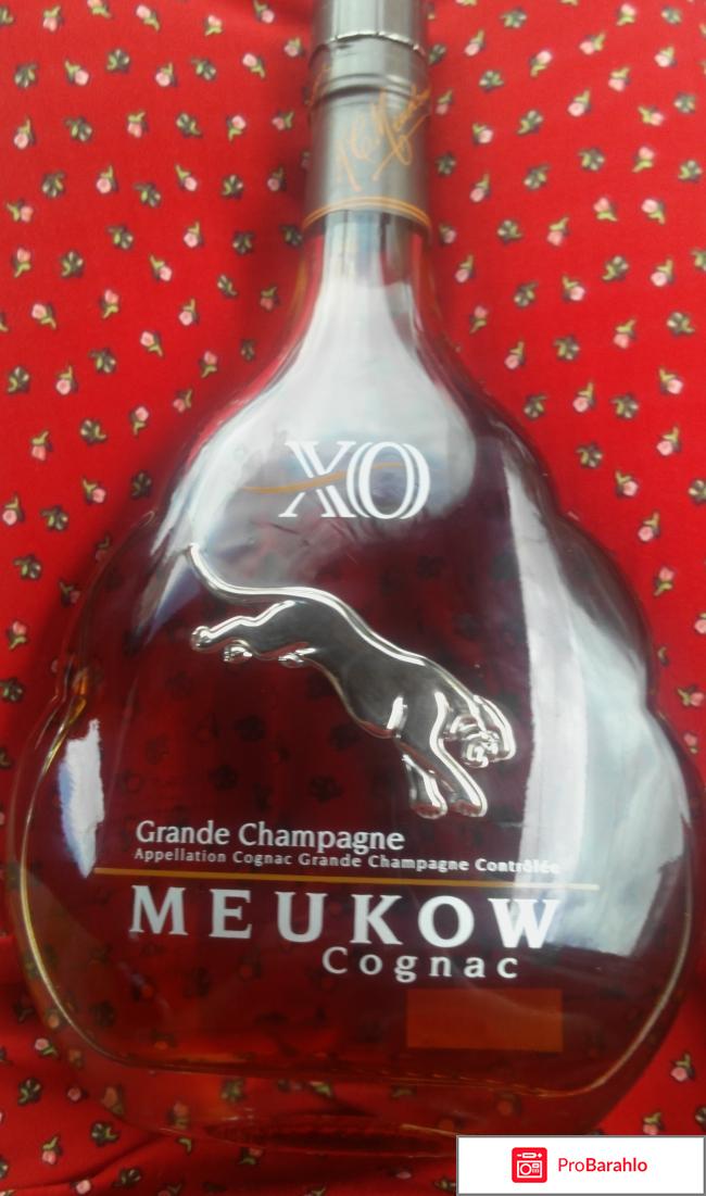 Коньяк Meukow XO 