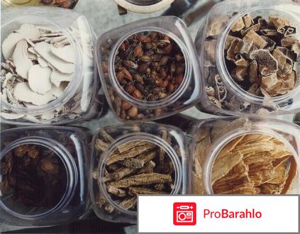 Народные средства от простатита отрицательные отзывы