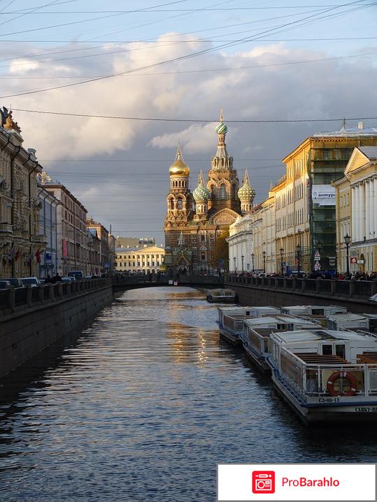 Куда сходить с ребенком в спб 