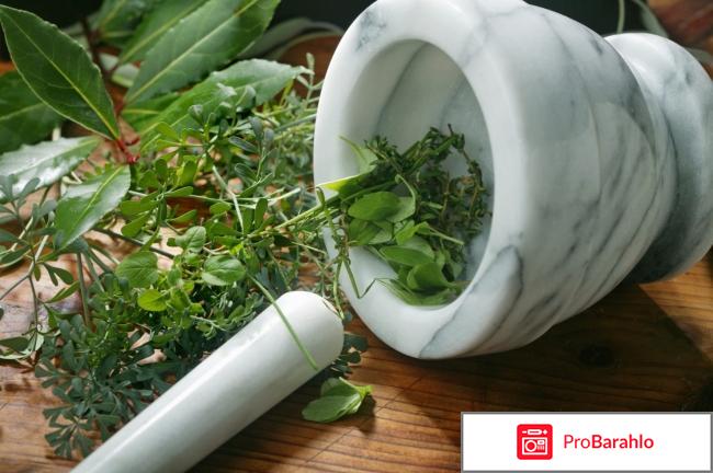 Cirrofit (Циррофит) реальные отзывы