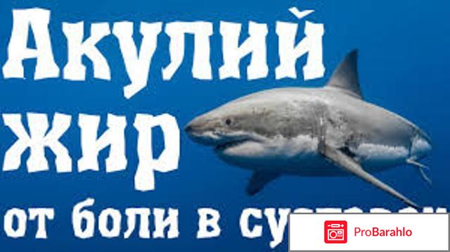 Акулий жир для суставов инструкция 