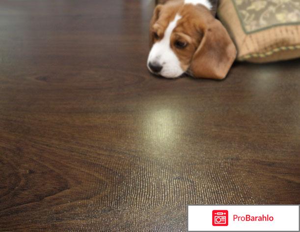 Ламинат ritter обман