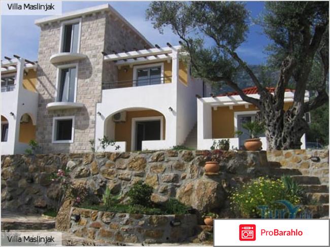 Бечичи отрицательные отзывы