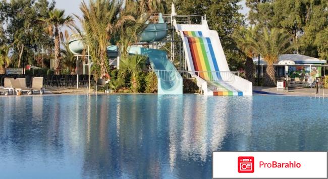 Euphoria palm beach resort отрицательные отзывы
