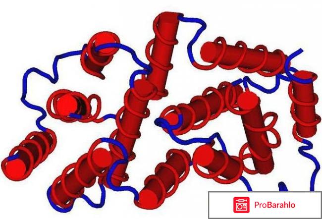 Препараты-индукторы интерферона — что это такое? 