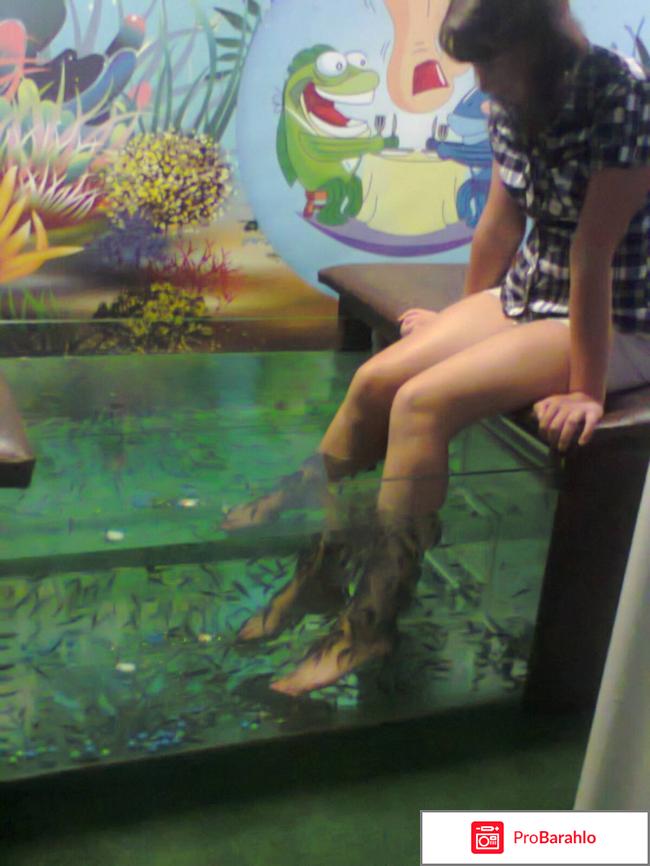 Пилинг рыбками Гарра Руфа 