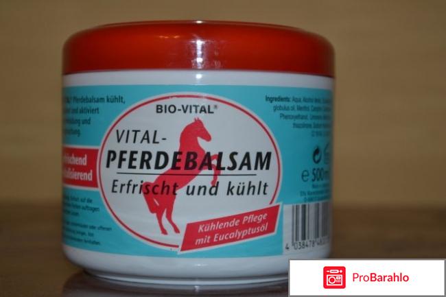 Купить лошадиный бальзам для суставов 