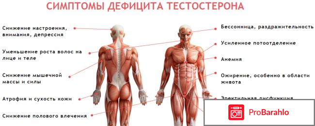 Сементал отзывы обман