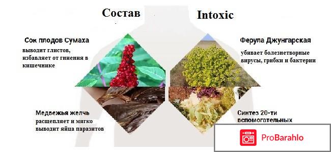 Intoxic лекарство от паразитов обман