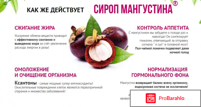 Мангустин напиток сухой быстрорастворимый отзывы обман