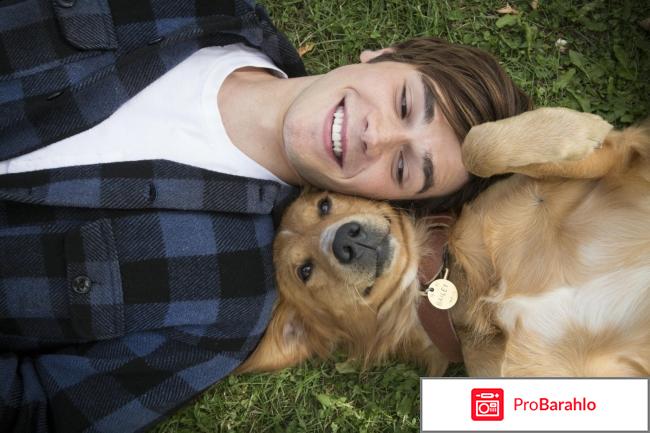 Захватывающие фильмы отзывы реальные отзывы