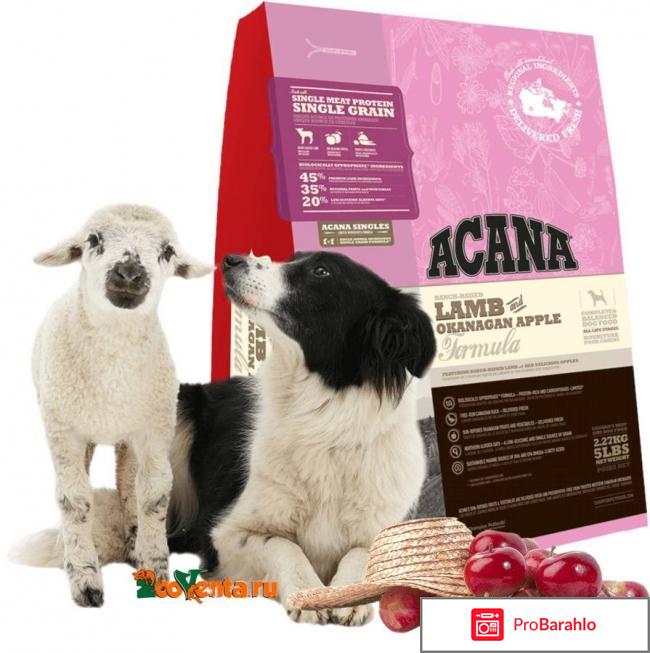 Корм акана для собак отзывы ветеринаров отрицательные отзывы