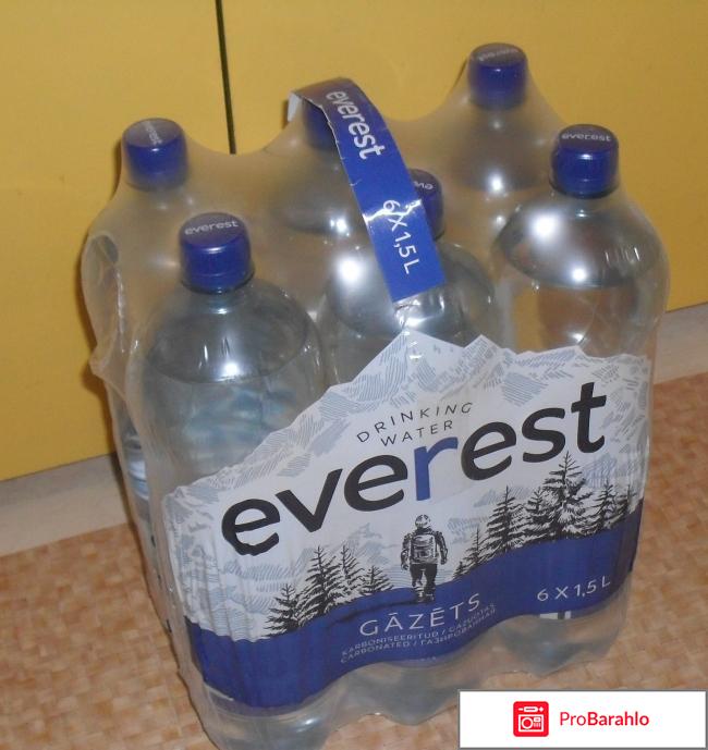 Вода газированная Everest 