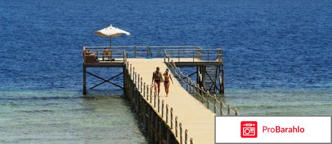 Rehana royal beach resort & spa отрицательные отзывы