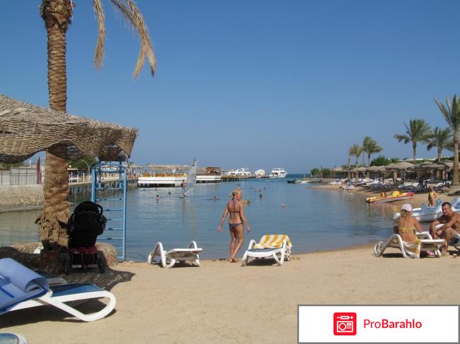 Султан бич 4 хургада обман