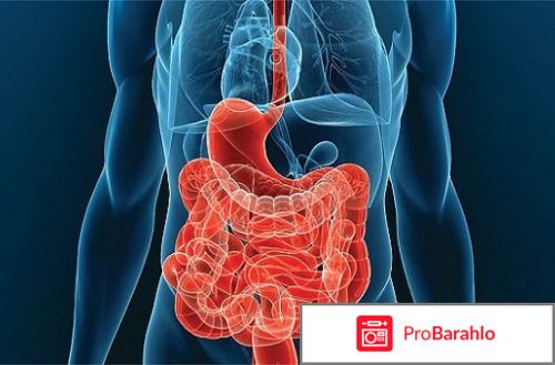 Закофальк отзывы отрицательные отзывы
