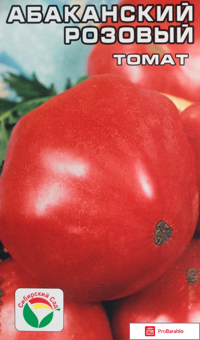 Томат абаканский розовый отзывы фото 