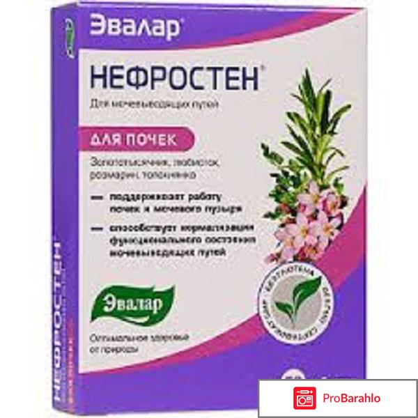 Нефростен эвалар 