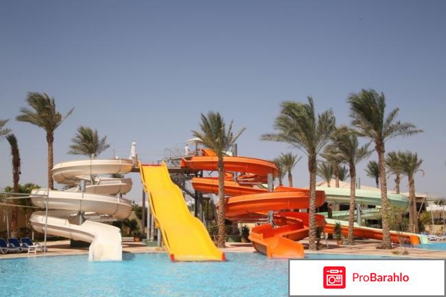 Дессоле египет обман