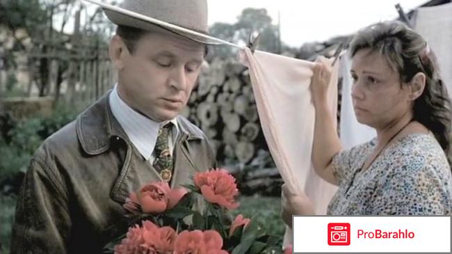 Ёлки палки отзывы владельцев