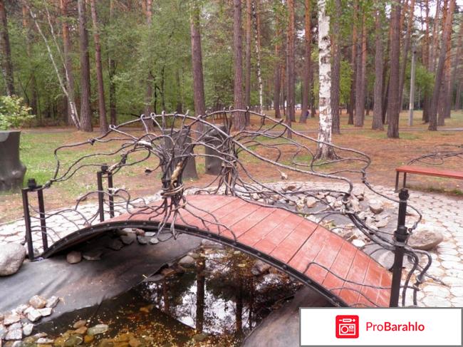 Экскурсия по городу Новосибирск отрицательные отзывы