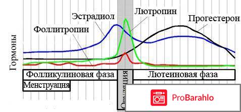 Лютеинизирующий гормон норма 