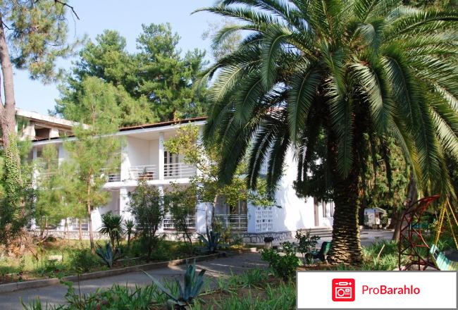 Отдых в абхазии отдыхающих 2015 цены отрицательные отзывы