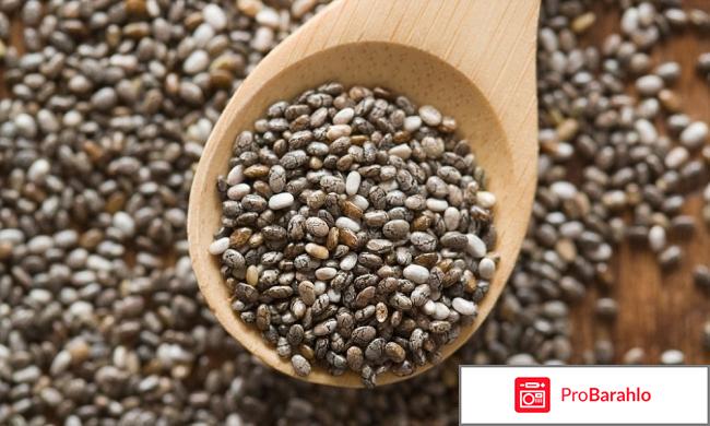 Семена чиа полезные свойства 