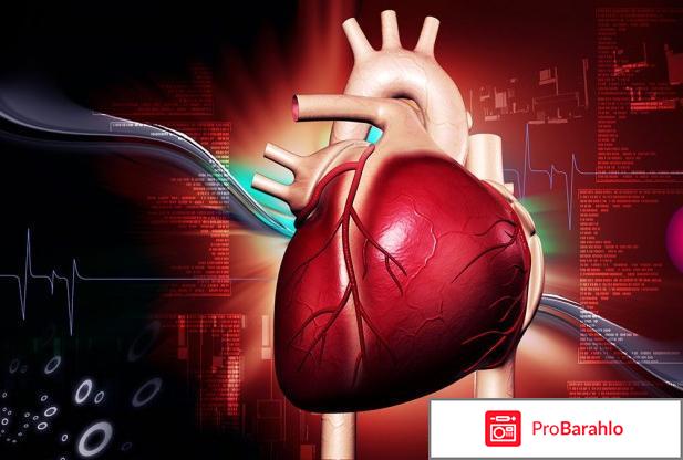 Сердце колет обман