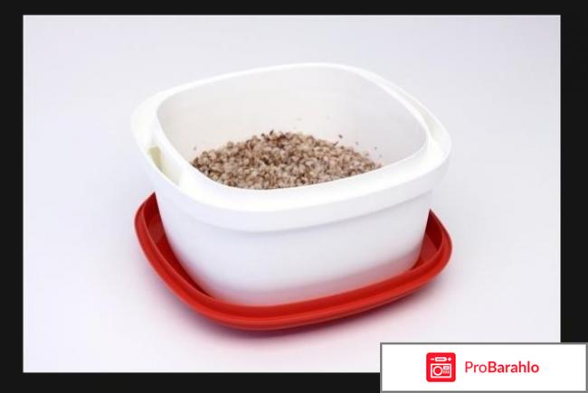 Термосервирователь фото обман