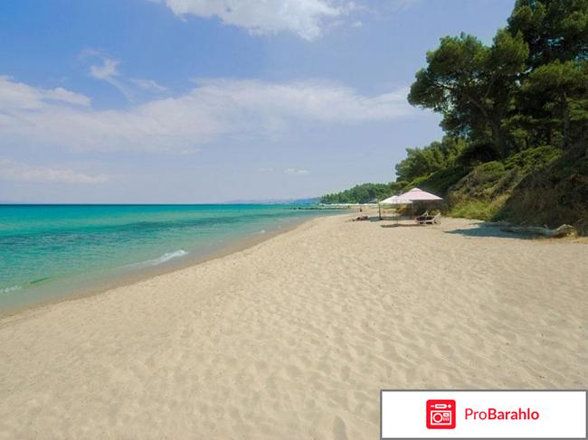 Халкидики кассандра отзывы туристов отзывы владельцев