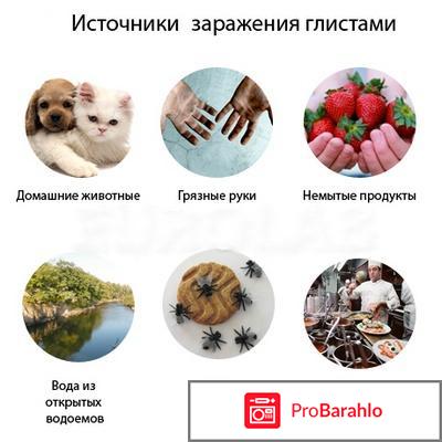 Intoxic развод 