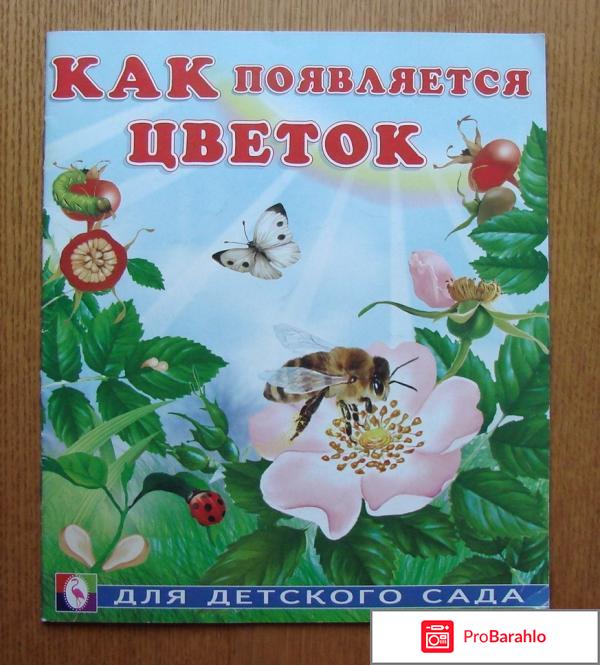 Книга  Как появляется цветок 