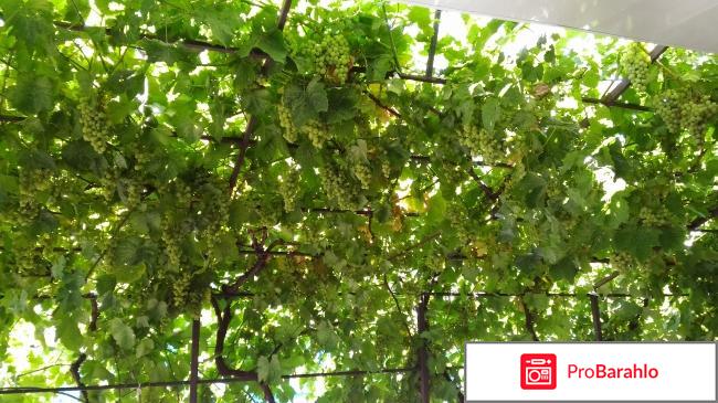 Гостевой дом 