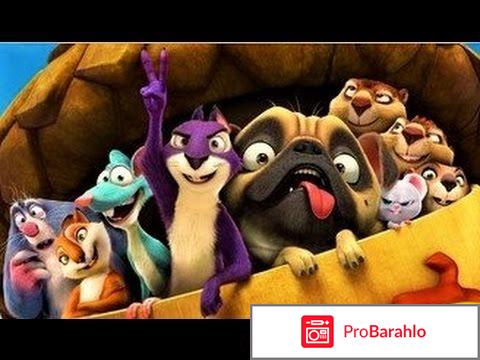 Реальная белка 2 отзывы