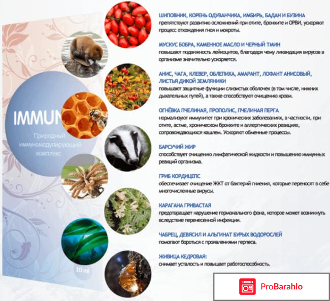 IMMUNETIKA реальные отзывы
