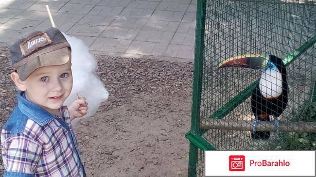 Фельдман ЭкоПарк фото