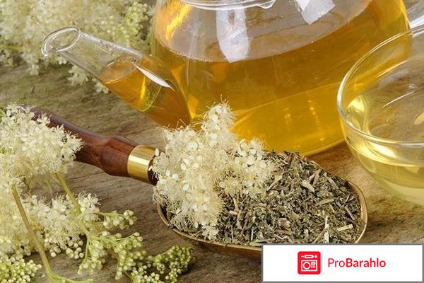 Масло лабазника польза и вред цена обман