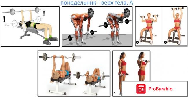 Круговая программа тренировок для сжигания жира обман