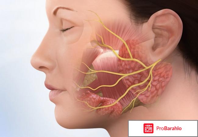 Свинка болезнь у взрослых фото 