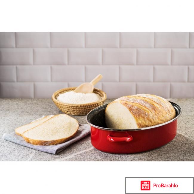 Гусятница Delimano «Сила камня» 2 в 1 отзывы владельцев